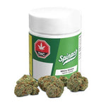 Dried Cannabis - MB - Spinach White Widow Flower - Format: - Spinach