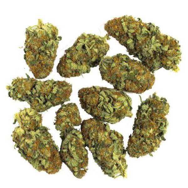 Dried Cannabis - MB - Stash City Sensi Star Flower - Format: - Stash City