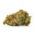 Dried Cannabis - MB - Sundial Lemon Riot Flower - Format: - Sundial Lift