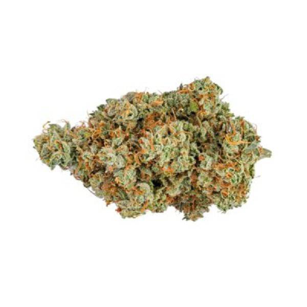 Dried Cannabis - MB - Tantalus Sunset Sherbert Flower - Format: - Tantalus