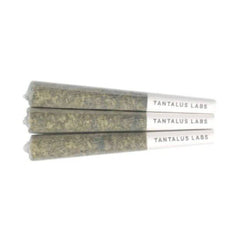 Dried Cannabis - MB - Tantalus Sunset Sherbert Pre-Roll - Format: - Tantalus