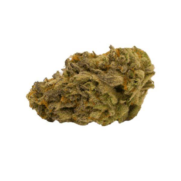 Dried Cannabis - MB - Tremblant Mandarin Cookies Flower - Format: - Tremblant