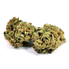 Dried Cannabis - MB - Tremblant Tremblant Kush Flower - Format: - Tremblant