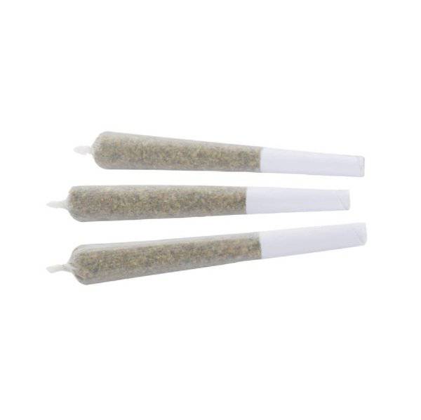 Dried Cannabis - MB - WAGNERS Cherry Jam Pre-Roll - Format: - WAGNERS