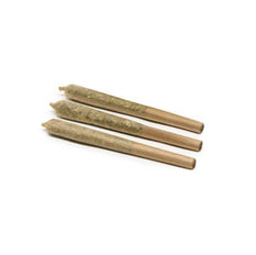 Dried Cannabis - SK - 48North Granddaddy Purple Pre-Roll - Format: - 48North