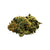 Dried Cannabis - SK - 48North Green Cush Flower - Format: - 48North