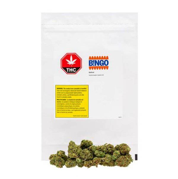 Dried Cannabis - SK - B!NGO Sativa! Flower - Format: - B!NGO