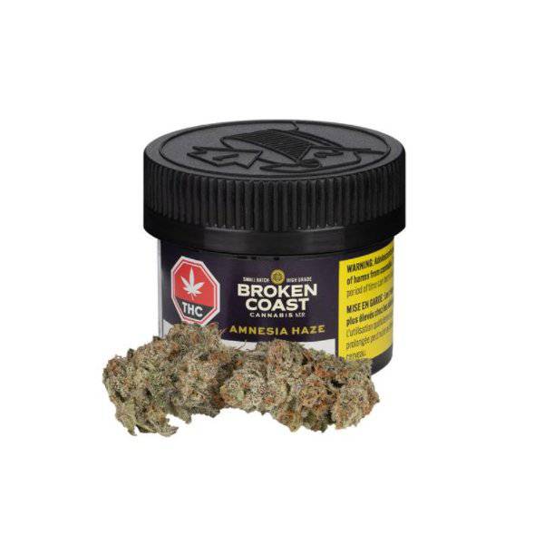 Dried Cannabis - SK - Broken Coast Amnesia Haze Flower - Format: - Broken Coast
