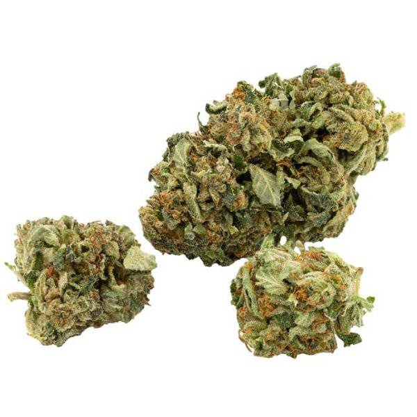 Dried Cannabis - SK - Canaca Galaxy Walker OG Flower - Format: - Canaca