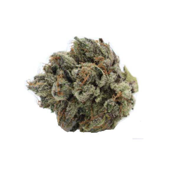 Dried Cannabis - SK - Citoyen Gold Star Indica Flower - Format: - Citoyen