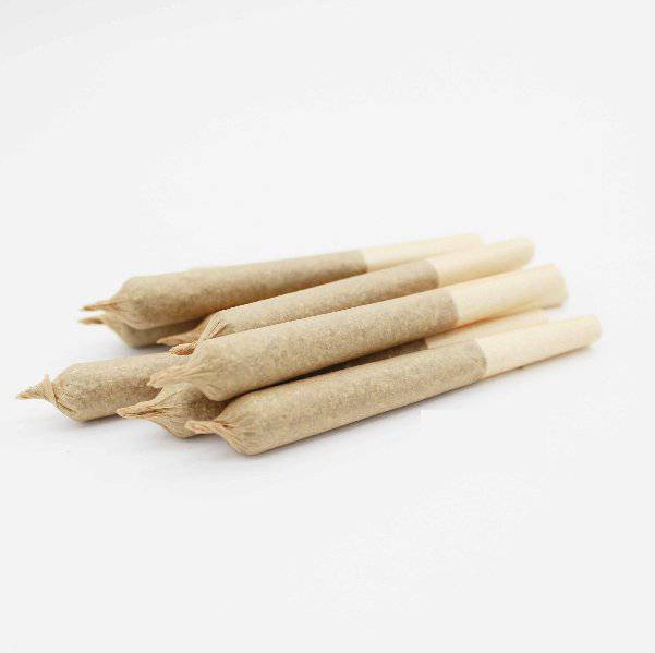 Dried Cannabis - SK - Coastal Connection 99s Pre-Roll - Format: - Coastal Connection