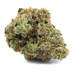 Dried Cannabis - SK - Cove Chemdawg Tangerine Reflect Reserve Flower - Format: - Cove