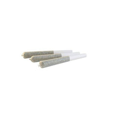 Dried Cannabis - SK - Edison The General Pre-Roll - Format: - Edison