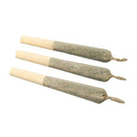 Dried Cannabis - SK - FIGR Go Steady Black Cherry Punch Pre-Roll - Format: - FIGR