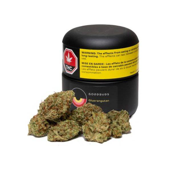 Dried Cannabis - SK - Good Buds Gluerangutan Flower - Format: - Good Buds