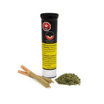 Dried Cannabis - SK - Good Buds Gluerangutan Pre-Roll - Format: - Good Buds