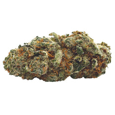 Dried Cannabis - SK - Haven St. Premium Lemon Pound Cake Flower - Format: - Haven St. Premium