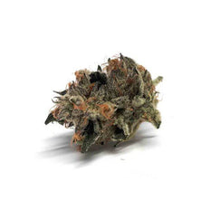 Dried Cannabis - SK - Highland Grow Sensi Wizard Flower - Format: - Highland Grow