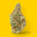 Dried Cannabis - SK - Highly Dutch Organic Rotterdamn Indica Flower - Grams: - Highly Dutch Organic