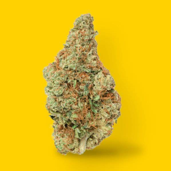 Dried Cannabis - SK - Highly Dutch Organic Rotterdamn Indica Flower - Grams: - Highly Dutch Organic