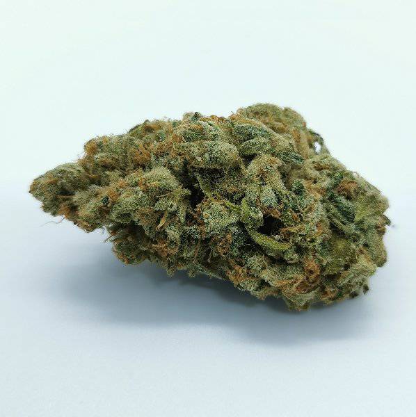 Dried Cannabis - SK - OUEST North Ouest OG Kush Flower - Format: - OUEST