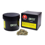 Dried Cannabis - SK - Qwest JB Cookies Flower - Format: - Qwest