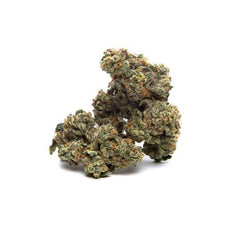 Dried Cannabis - SK - Qwest Reserve Kush Mints Flower - Format: - Qwest Reserve