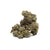 Dried Cannabis - SK - Qwest Reserve Kush Mints Flower - Format: - Qwest Reserve