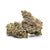 Dried Cannabis - SK - Qwest Reserve Point Break Flower - Grams: - Qwest Reserve