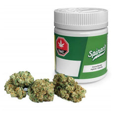 Dried Cannabis - SK - Spinach Cocoa Bomba Flower - Format: - Spinach