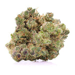 Dried Cannabis - SK - Spinach Sensi-Star Flower - Format: - Spinach