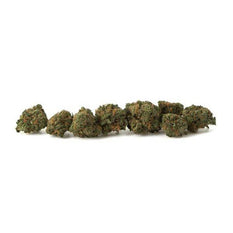 Dried Cannabis - SK - Sundial Blue Nova Flower - Format: - Sundial Lift