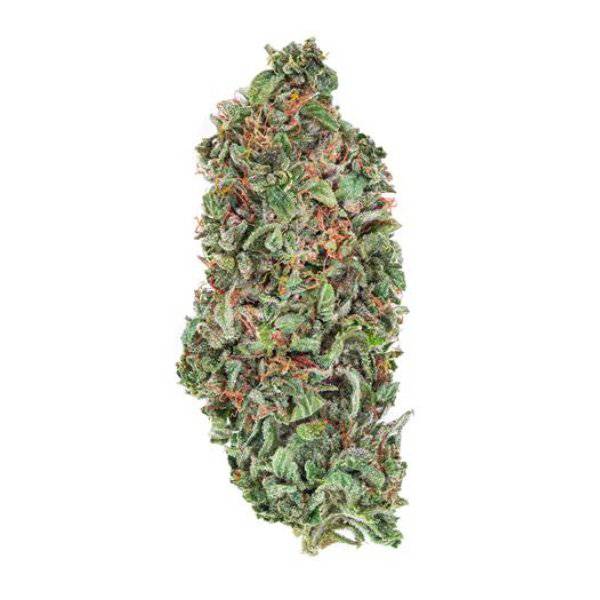 Dried Cannabis - SK - TGOD Organic Rockstar Tuna Flower - Format: - TGOD
