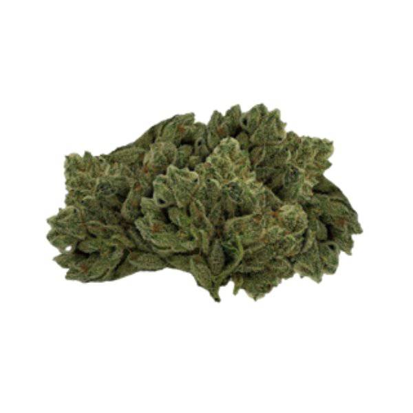 Dried Cannabis - SK - Tweed 2.0 GG#4 Flower - Format: - Tweed