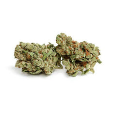 Dried Cannabis - SK - UP Ghost Train Haze UP20 Flower - Format: - UP