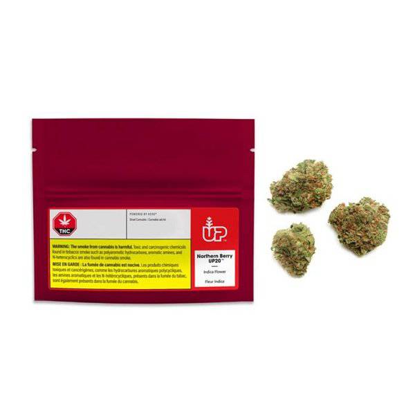 Dried Cannabis - SK - UP Northern Berry Flower - Format: - UP