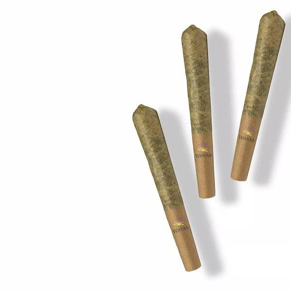 Dried Cannabis - SK - Weed Me Blue Iguana Pre-Roll - Format: - Weed Me