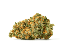 Dried Cannabis - Grasslands Sativa Flower - Format: - Grasslands