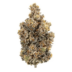 Dried Cannabis - MB - Sweetgrass Organic Surreal Dreams Flower - Format: