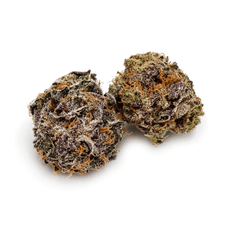 Dried Cannabis - MB - Pure Sunfarms White Rhino Flower - Grams: - Pure Sunfarms