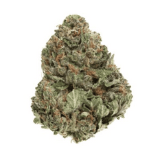 Dried Cannabis - MB - Kolab Project Inc Exotics Flower - Format: