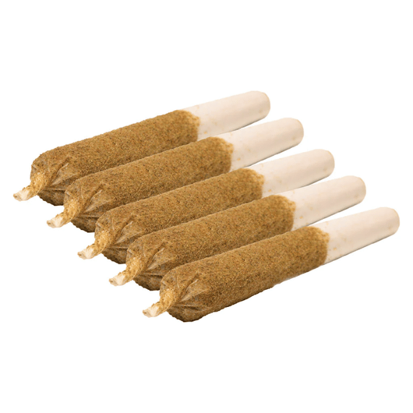 Extracts Inhaled - MB - General Admission Jungle Fruit Infused Pre-Roll - Format: - General Admission