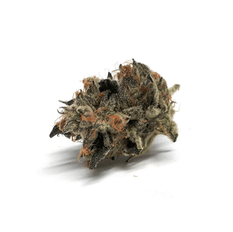 Dried Cannabis - MB - Highland Grow Sensi Wizard Flower - Grams: - Highland Grow