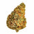 Dried Cannabis - MB - Tokyo Smoke Equalize Flower - Grams: - Tokyo Smoke