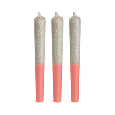 Extracts Inhaled - SK - Highly Dutch Organic Rotterdam N'Black Hash Infused Pre-Roll - Format: - Highly Dutch Organic