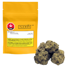 Dried Cannabis - SK - 7Acres Jack Haze Flower - Format: - 7Acres