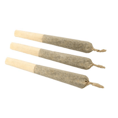 Dried Cannabis - MB - Sugar Leaf Sensi Star Pre-Roll - Format: - Sugar Leaf by 7Acres