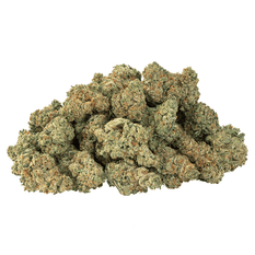 Dried Cannabis - SK - Holy Mountain GMO Tropical Reign Flower - Format: - Holy Mountain