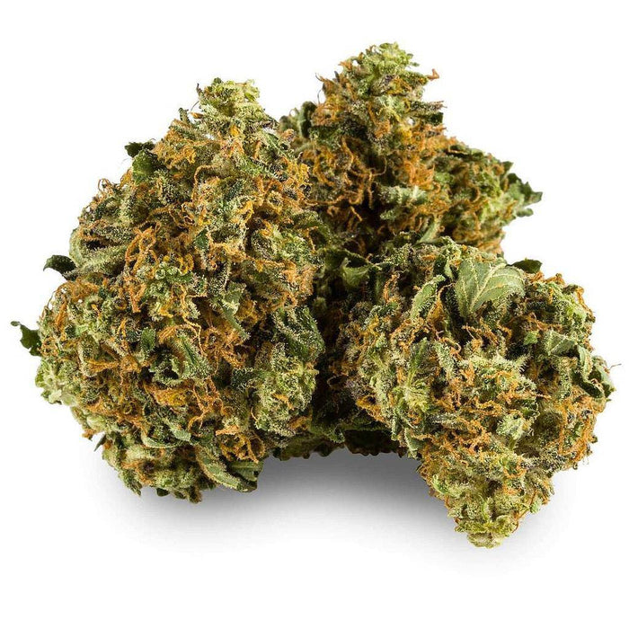 Dried Cannabis - AB - Aurora Summer Fling Flower - Grams: - Aurora