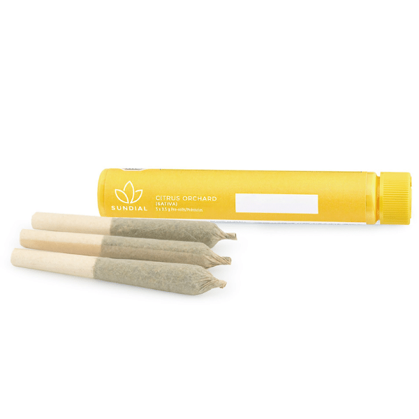 Dried Cannabis - SK - Sundial Citrus Orchard Pre-Roll - Format: - Sundial